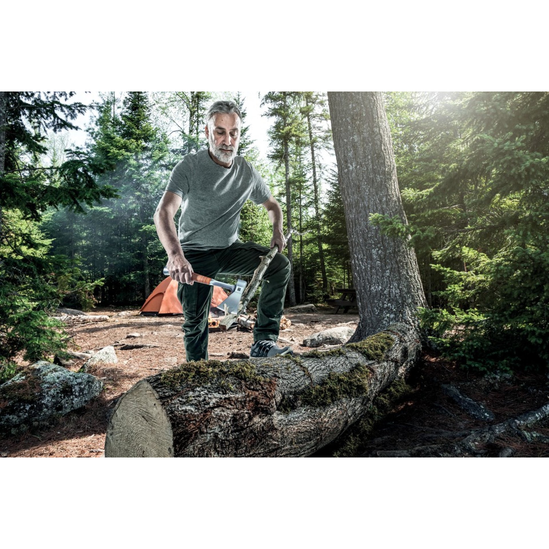 Pflanzenwuchs, Wildnis, Hain, Waldland, Fels