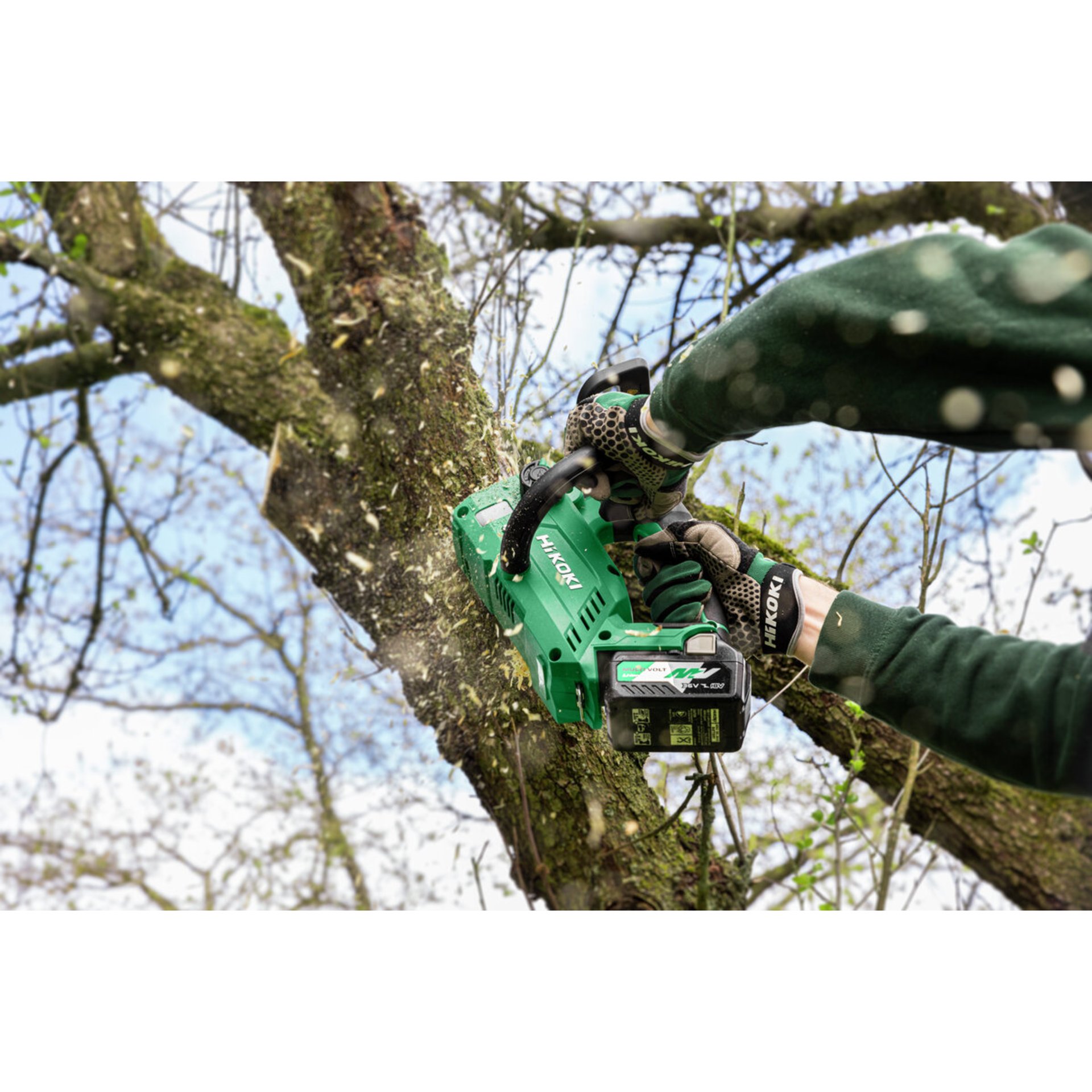 Gras, Pflanze, Gerät