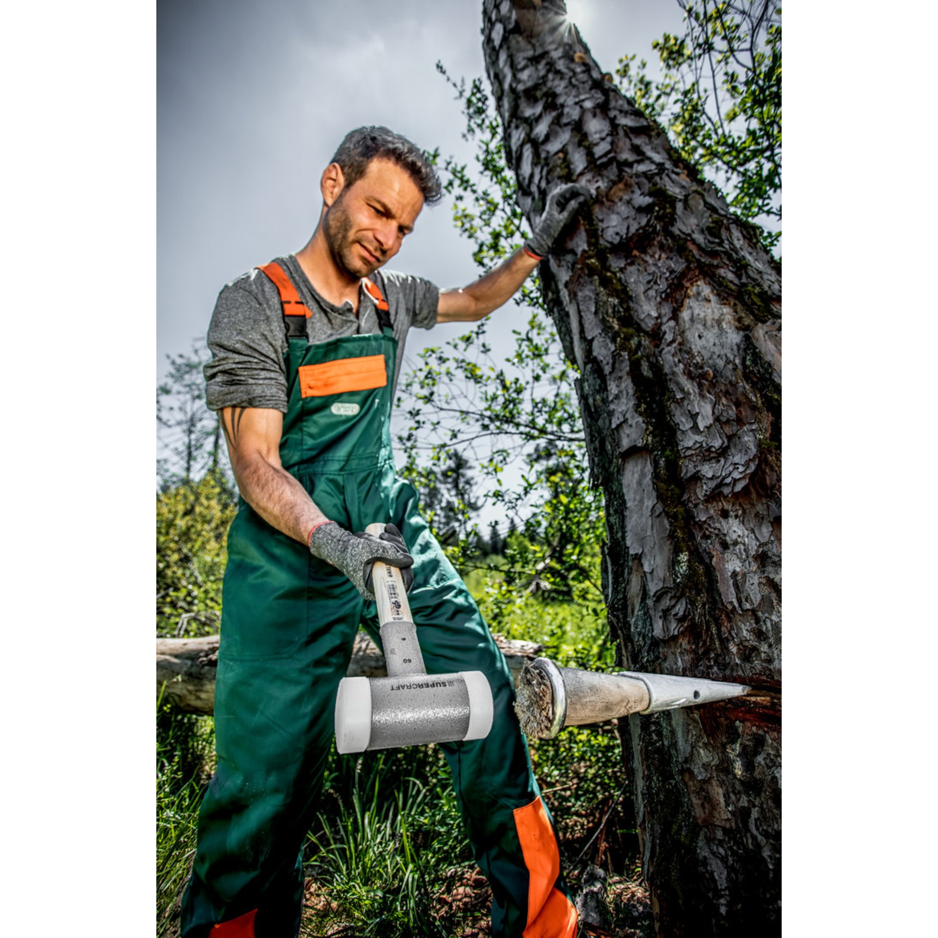 Person, Arbeiter, Garten, Draußen, Handschuh