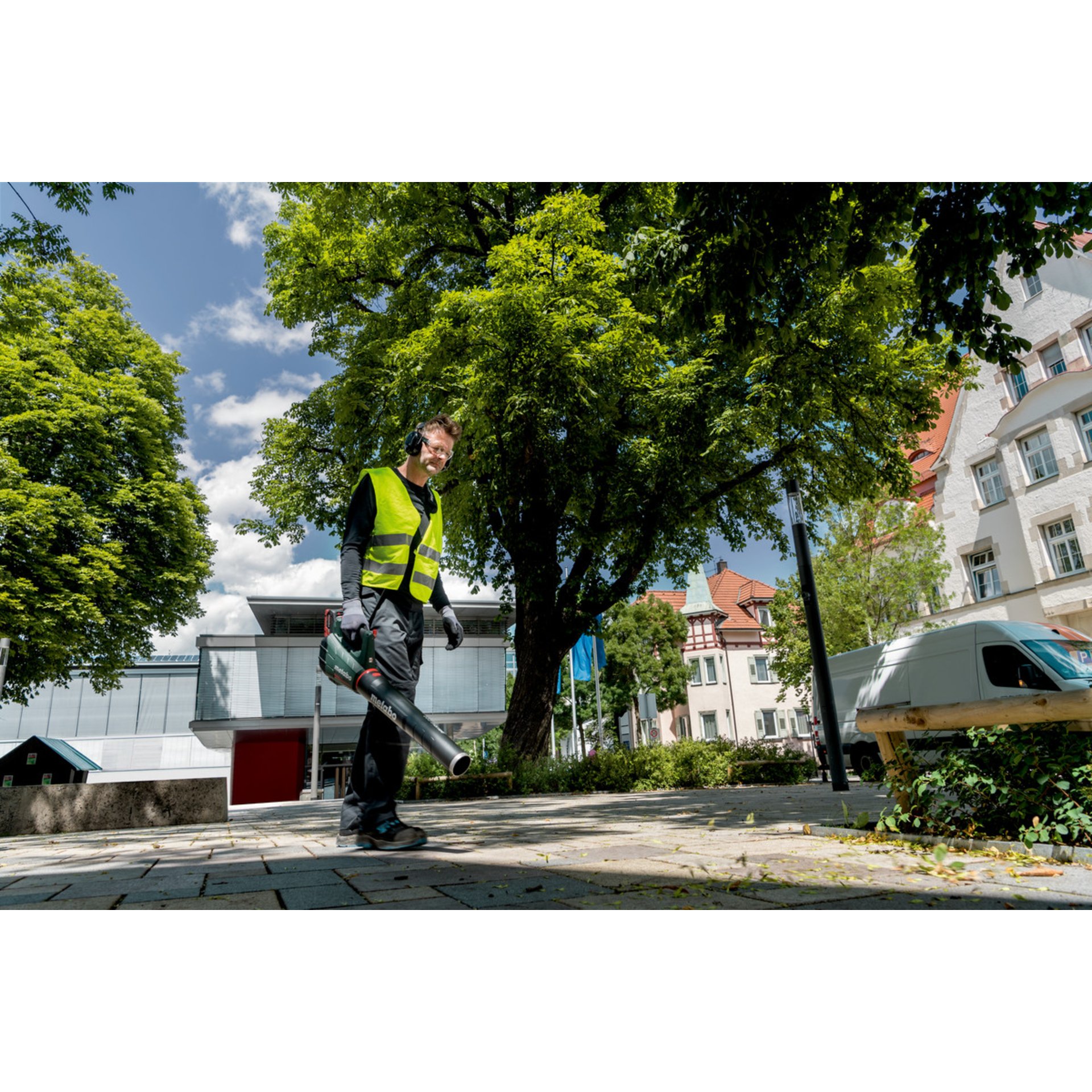 Gras, Handschuh, Nachbarschaft, Pfad, Baum
