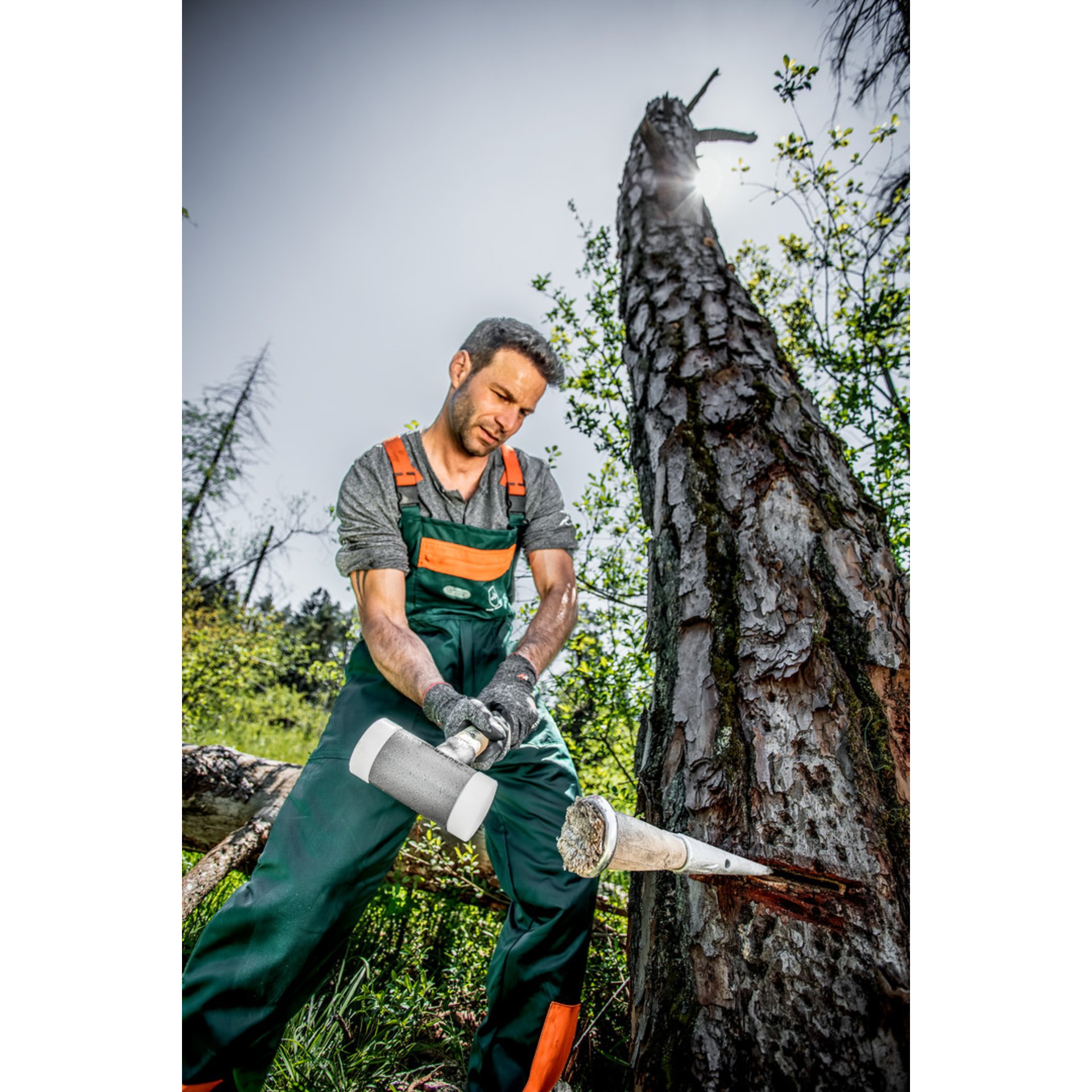 Person, Arbeiter, Garten, Erwachsener, Mann