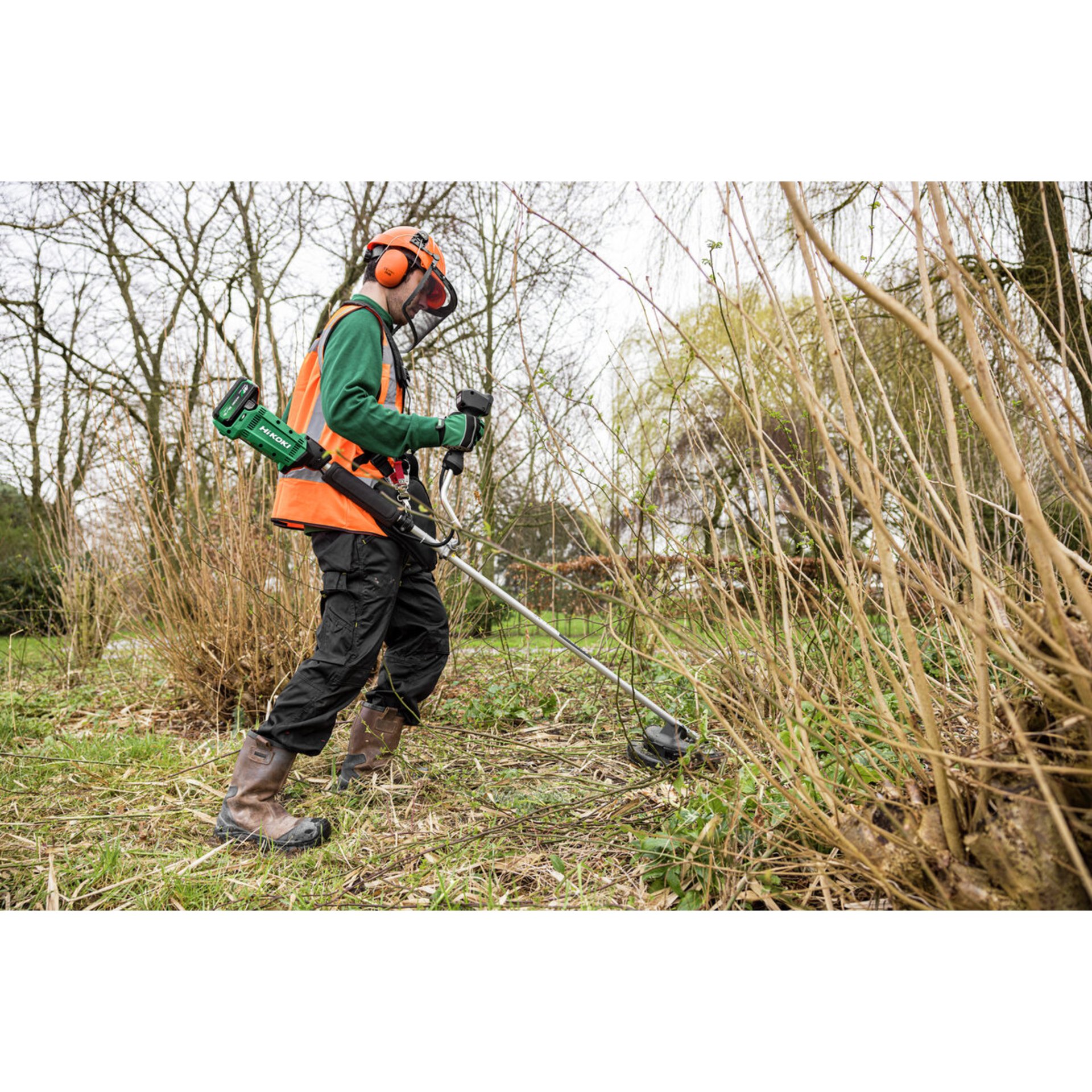 Gras, Pflanze, Rasen, Person, Arbeiter