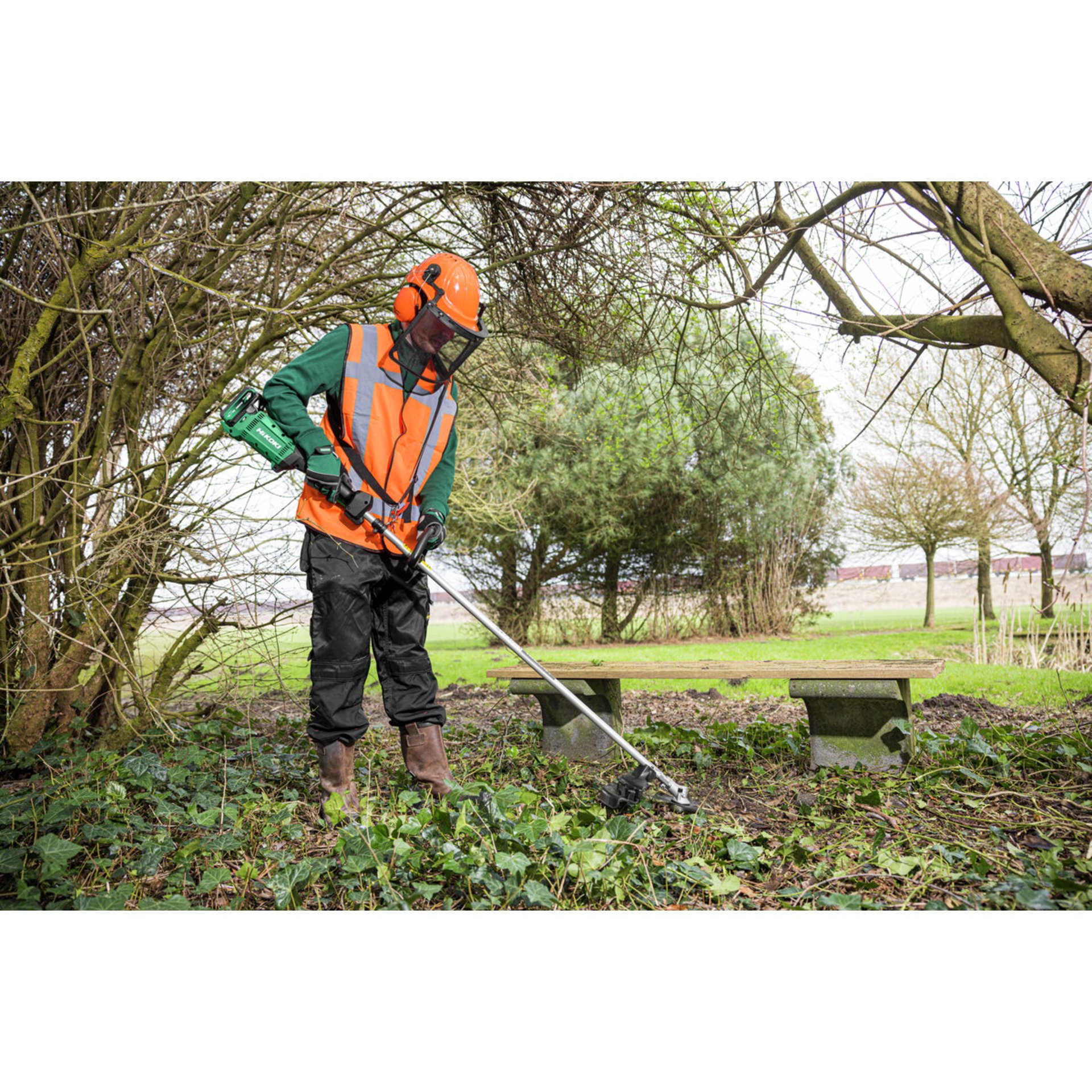 Gras, Rasen, Erwachsener, Mann, Person