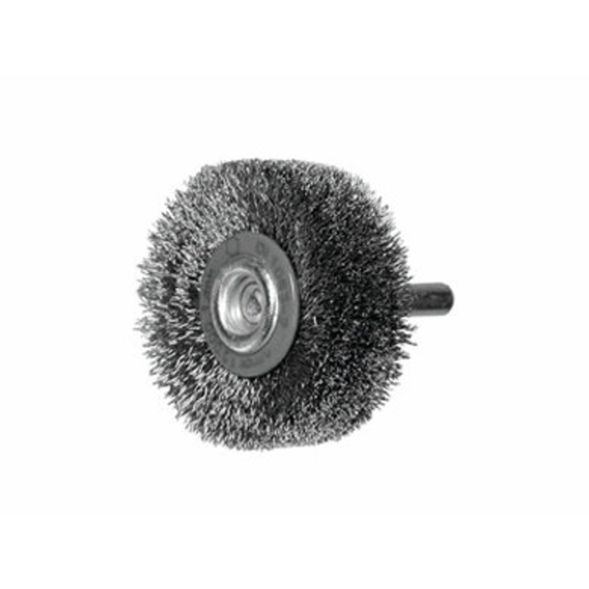 Pinsel, Gerät, Werkzeug, Igel, Säugetier