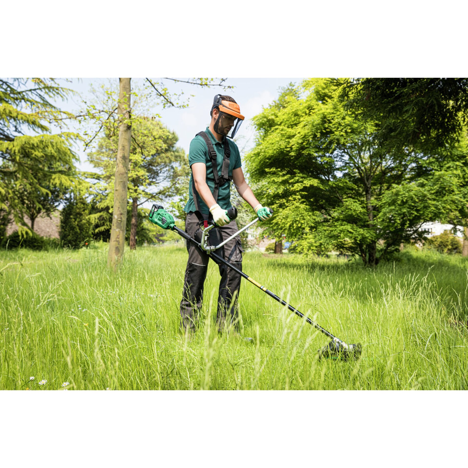 Gras, Rasen, Gerät, Person, Rasen mähen